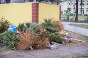 How to Dispose of Your Christmas Trees
