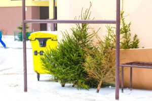 How to Dispose of Your Christmas Tree Allen, TX - Dumpster Rental Frisco TX