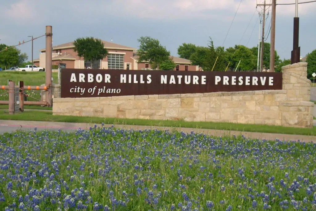 Junk Removal Arbor Hills Nature Preserve Plano, TX - All Pro Dumpsters Frisco