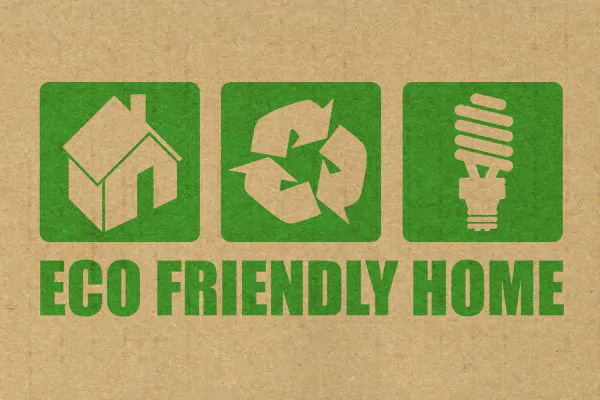 Best Practices for a Safe and Eco-Friendly Home